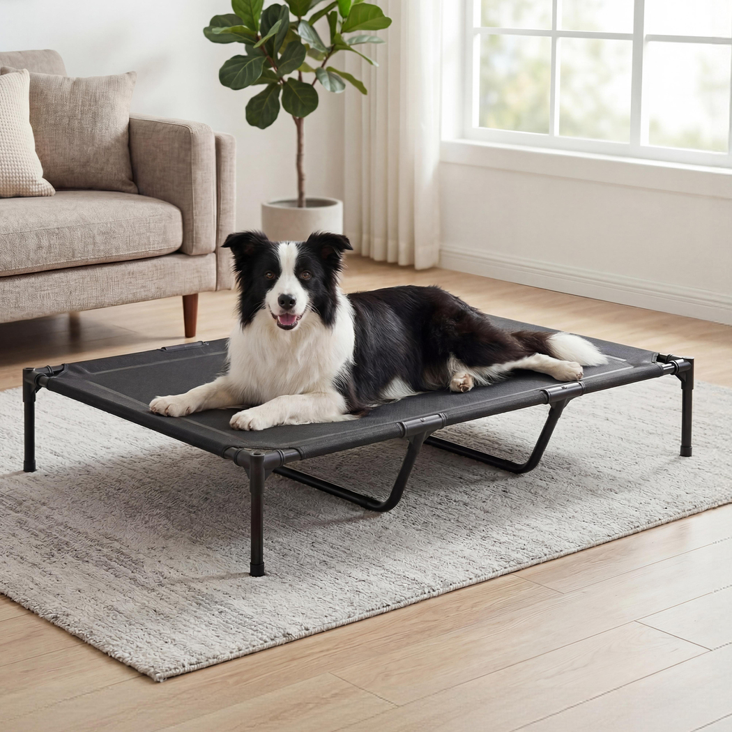 Pawz Elevated Dog Bed Heavy Duty Portable Cot Waterproof Pet Raised Bed XL Size - Image 8